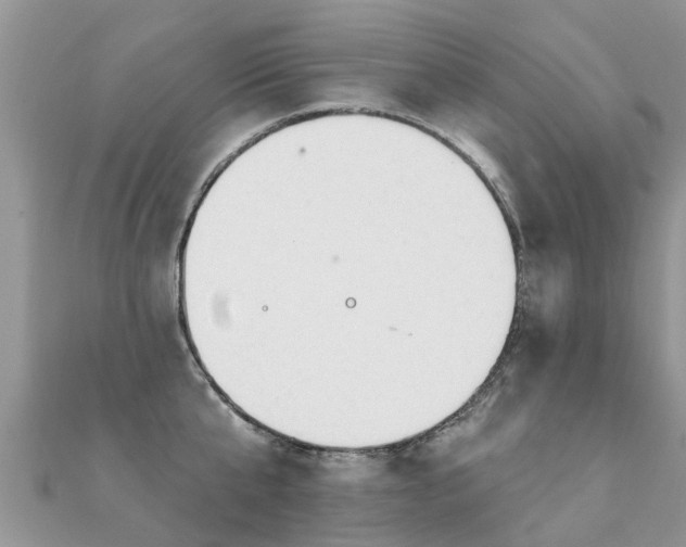 X0000112080807200908111453