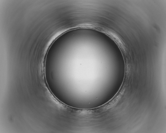 X0000112080808200908111453