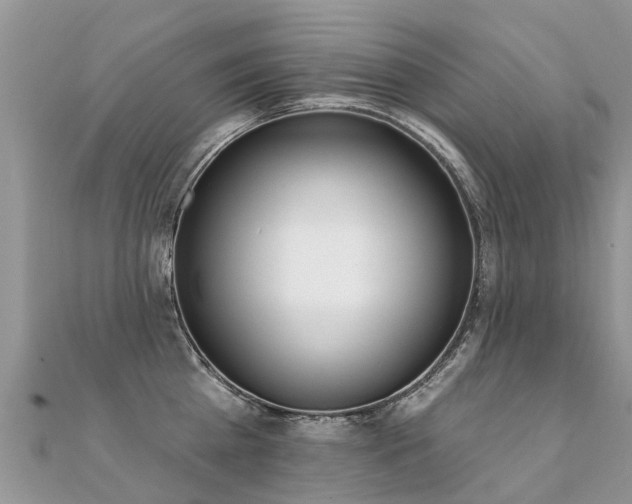 X0000112080809200908111453