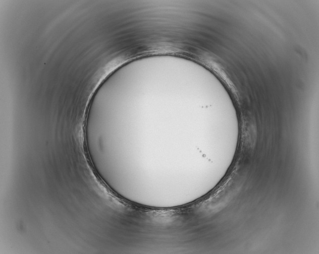 X0000112080810200908111453