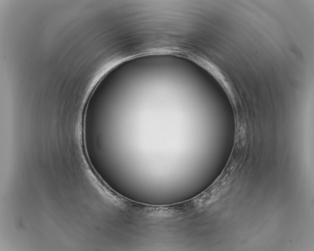 X0000112080811200908111453