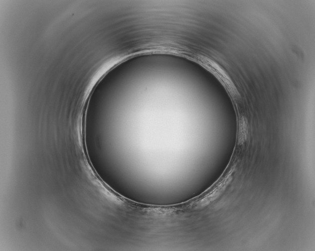 X0000112080812200908111453