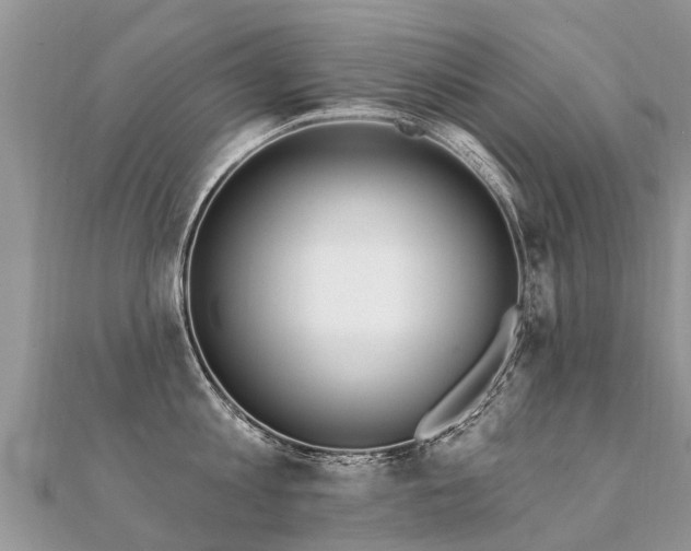 X0000112080813200908111453