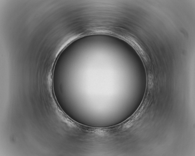 X0000112080814200908111453