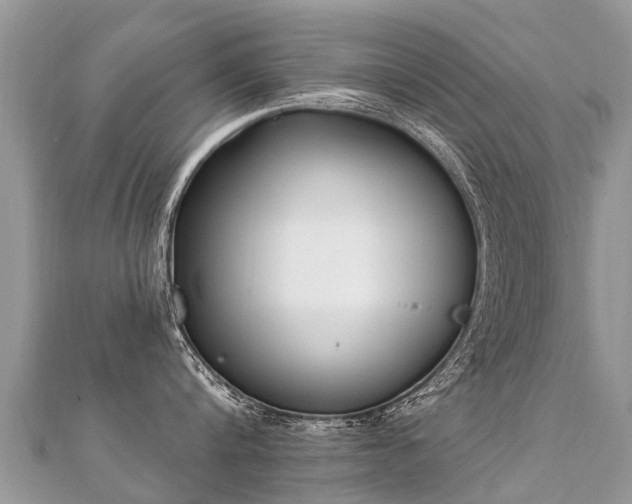 X0000112080816200908111453