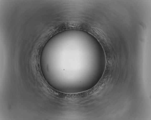 X0000112080817200908111453