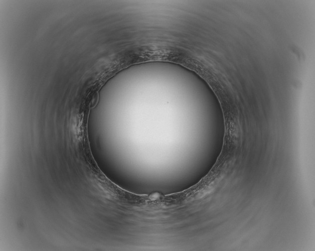 X0000112080818200908111453