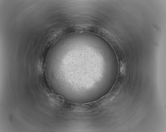 X0000112080819200908111453