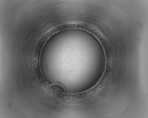 X0000112080821200908111453