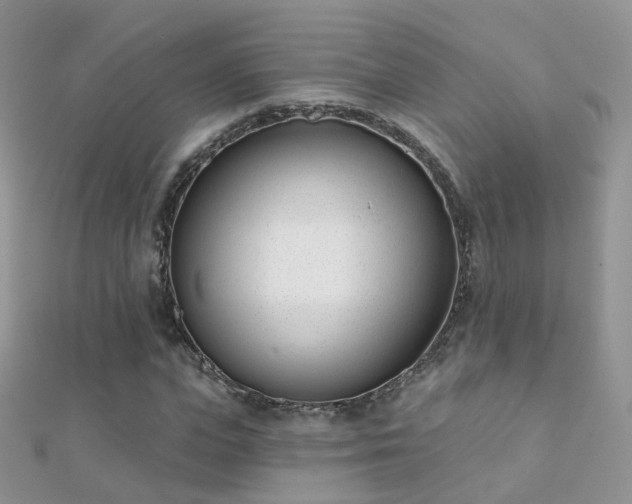 X0000112080823200908111453