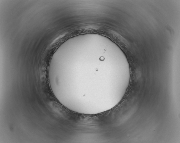 X0000112080824200908111453