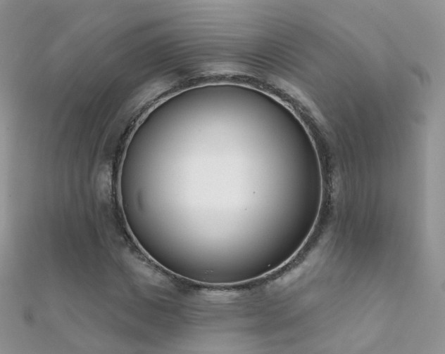 X0000112080825200908111453