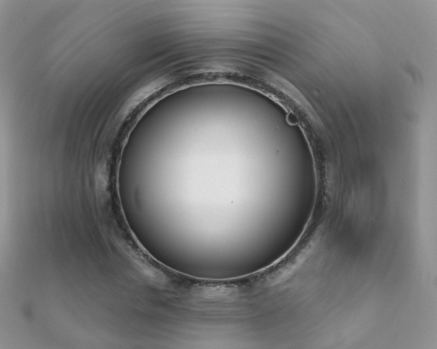 X0000112080826200908111453