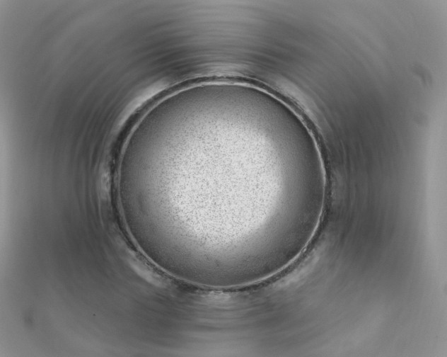 X0000112080827200908111453