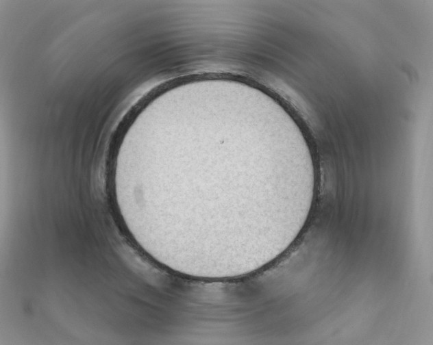 X0000112080828200908111453