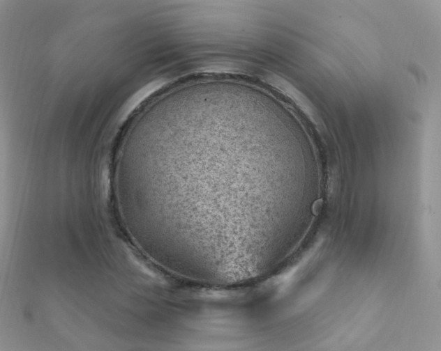 X0000112080829200908111453