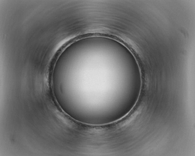 X0000112080830200908111453