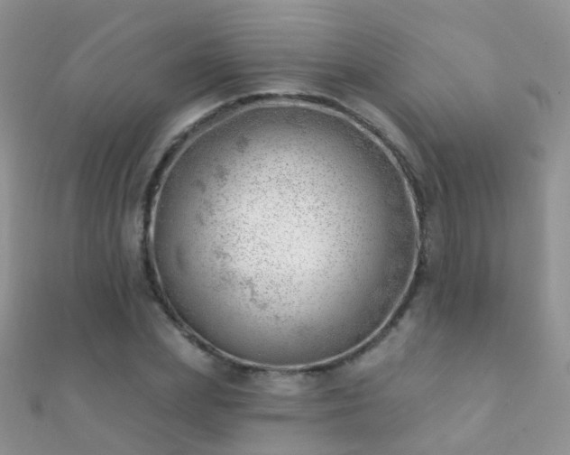 X0000112080831200908111453