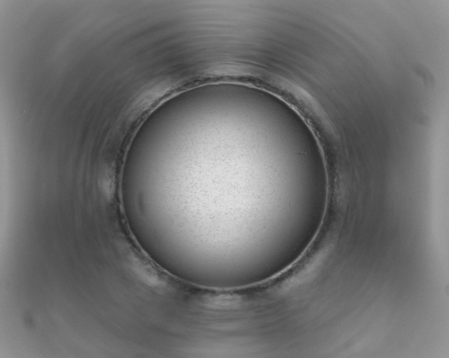 X0000112080833200908111453