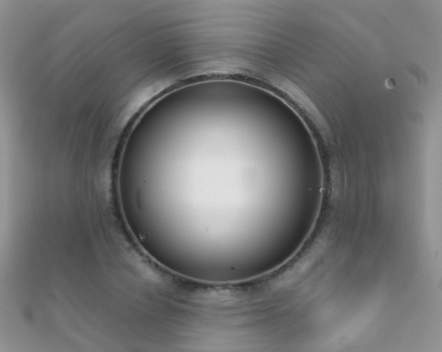 X0000112080834200908111453
