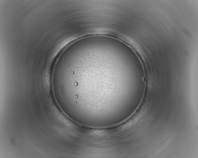 X0000112080835200908111453