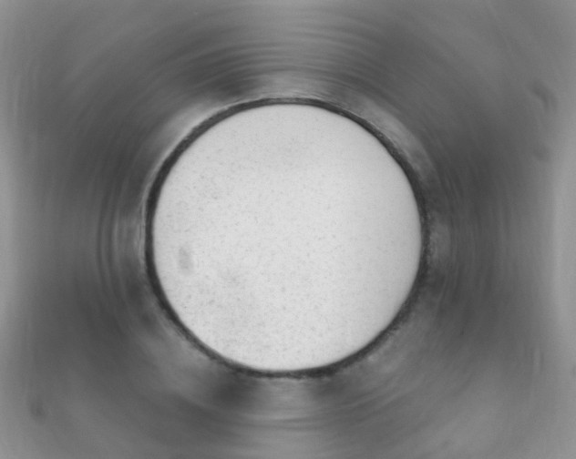 X0000112080836200908111453