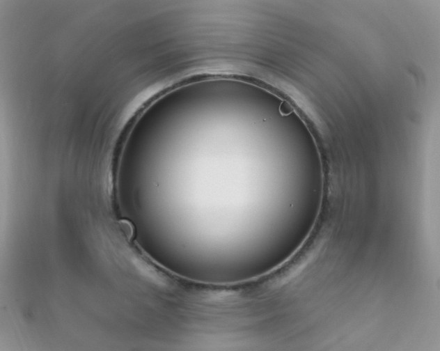 X0000112080837200908111453