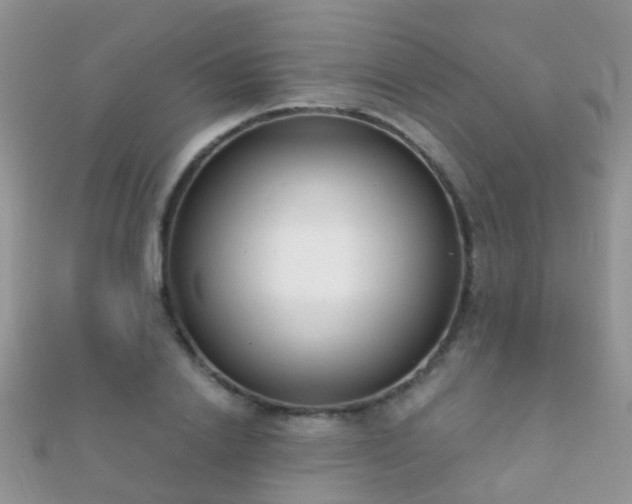 X0000112080838200908111453