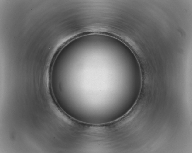 X0000112080840200908111453