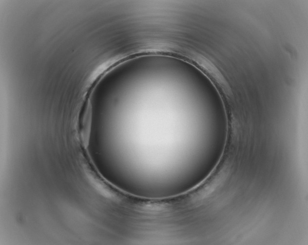 X0000112080842200908111453
