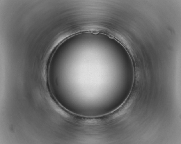 X0000112080843200908111453