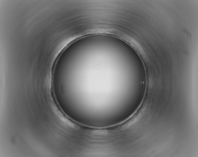 X0000112080844200908111453