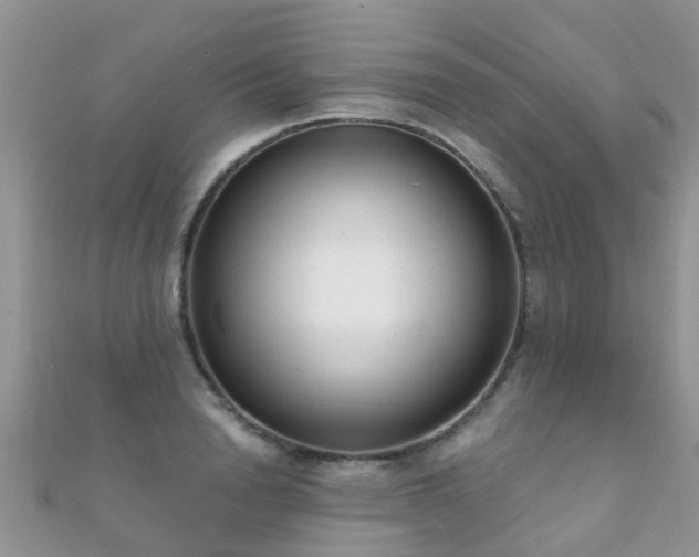 X0000112080846200908111453