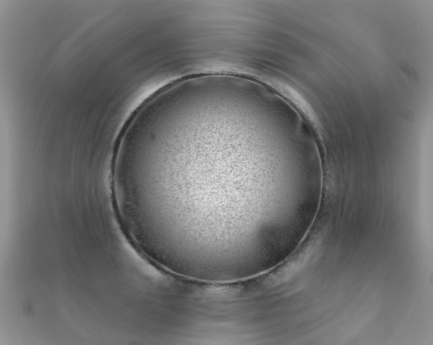 X0000112080847200908111453