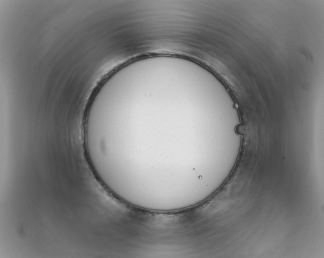 X0000112080848200908111453