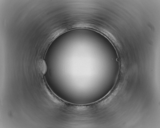 X0000112080849200908111453
