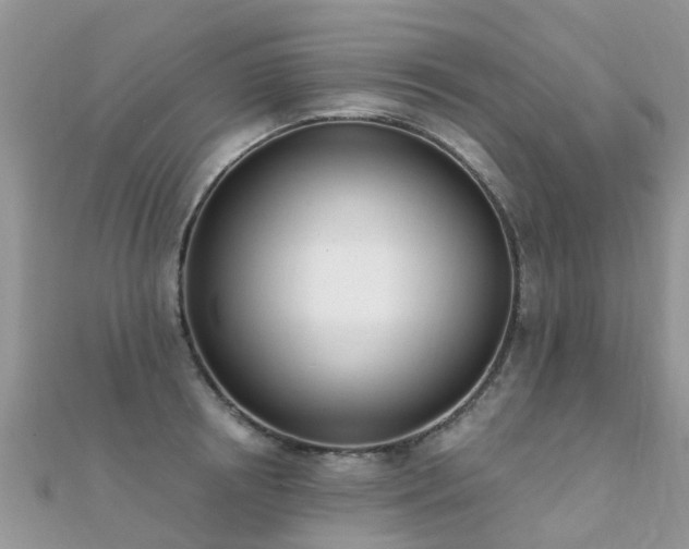 X0000112080850200908111453