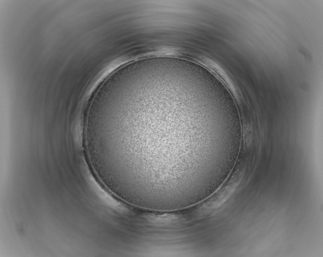 X0000112080851200908111453
