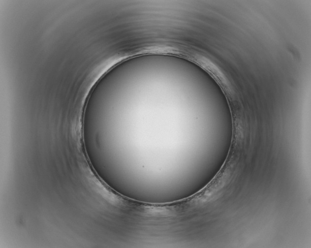 X0000112080852200908111453