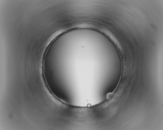 X0000112080853200908111453