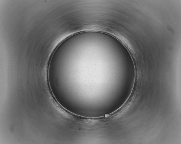 X0000112080854200908111453