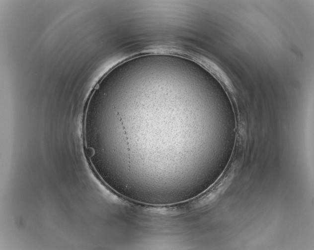 X0000112080855200908111453