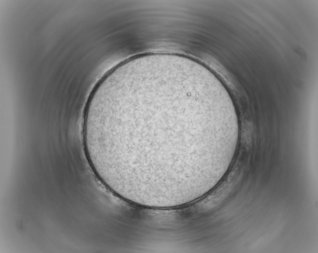 X0000112080856200908111453