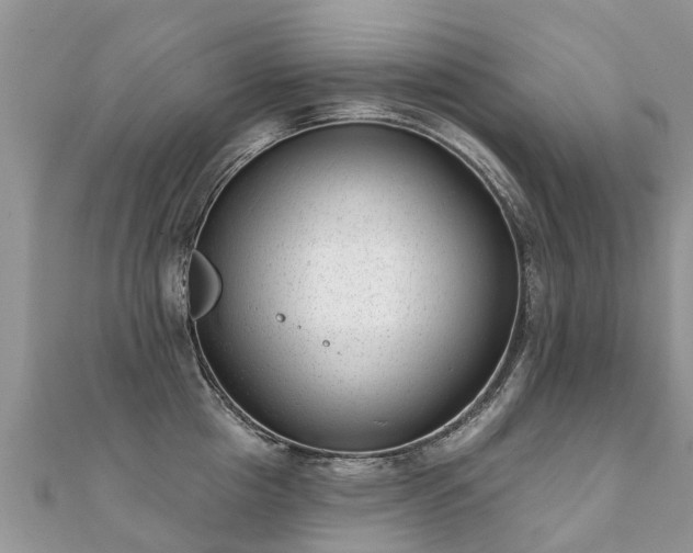 X0000112080857200908111453