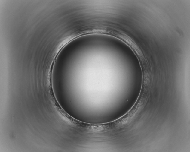 X0000112080858200908111453