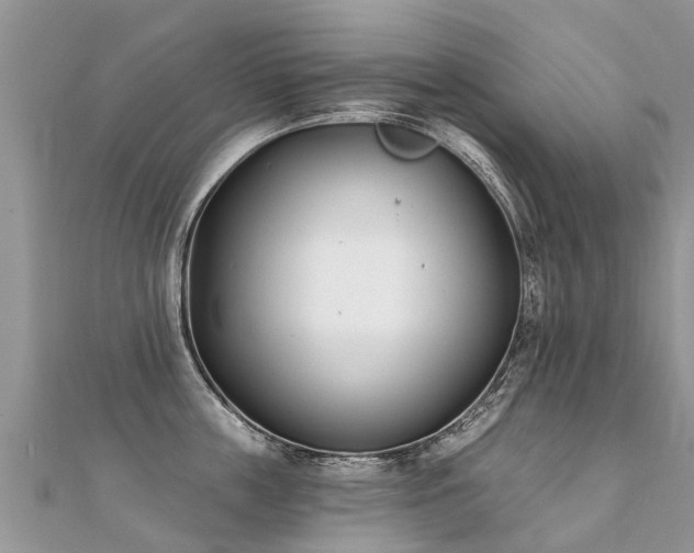 X0000112080859200908111453