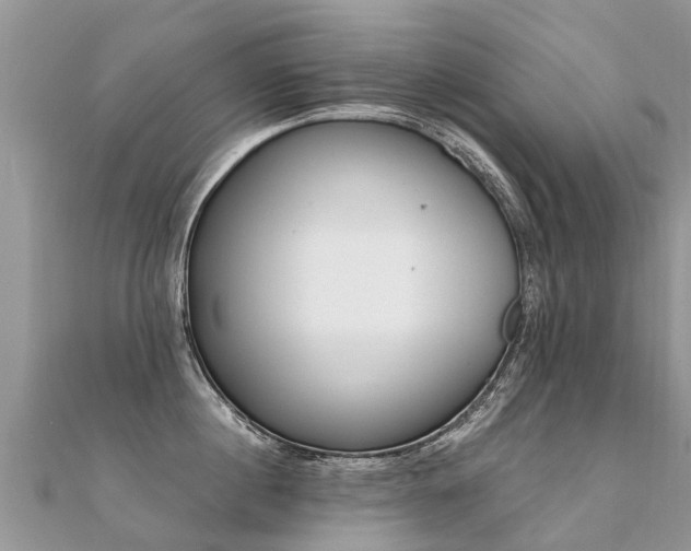 X0000112080860200908111453