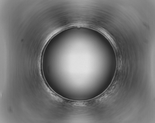 X0000112080861200908111453