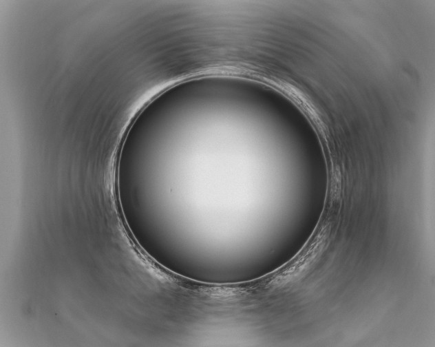 X0000112080862200908111453