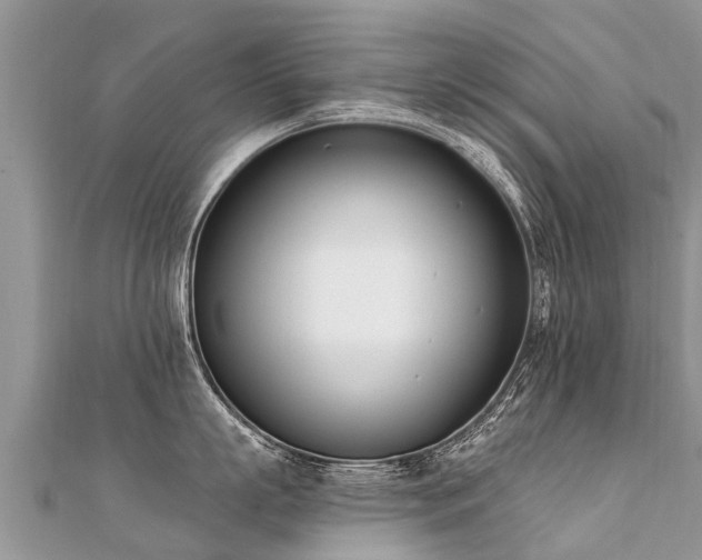 X0000112080863200908111453